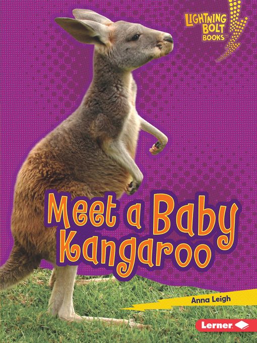 Upplýsingar um Meet a Baby Kangaroo eftir Anna Leigh - Biðlisti